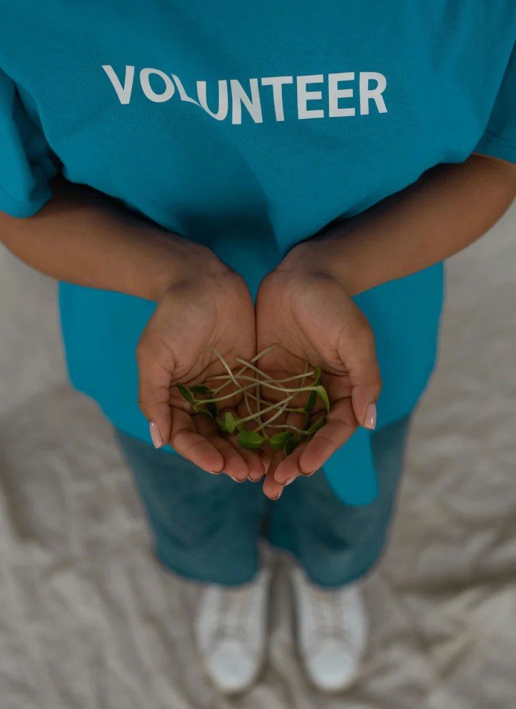 Non-Profit Accounting & Grant Management Services